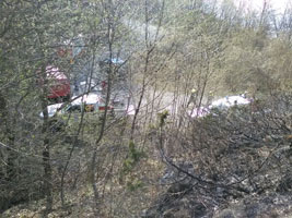 incendio penice tn