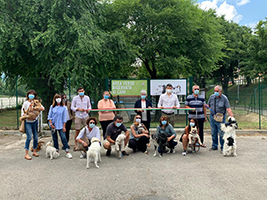 dogpark tn