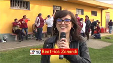 bea festa tn