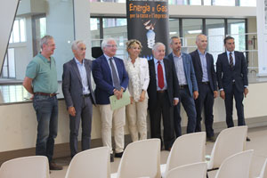 gruppo tn