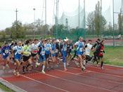 gara_eliminazione_tn