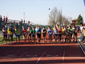 miglio voghera tn