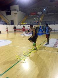 allenamento phoenix tn