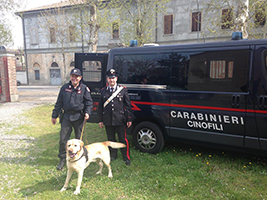 cane carabinieri tn