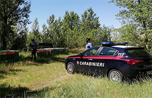 carabinieri api tn