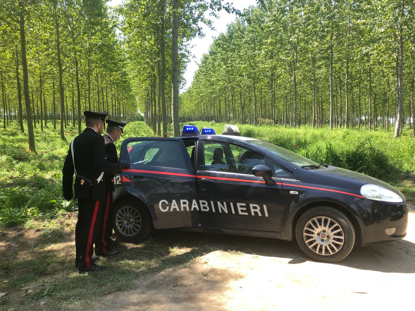 carabinieri campagna