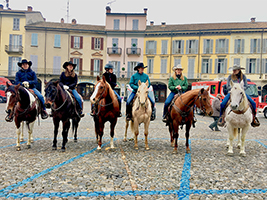 cavalli piazzaduomo tn