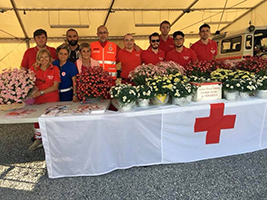 crocerossa sensia2018 TN