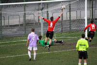 gol tn