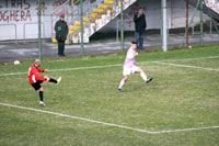 digennaro tn
