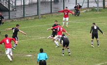 gol marjianovic tn