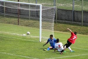 coccu gol tn