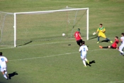 artaria gol tn