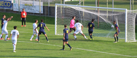 gol tn