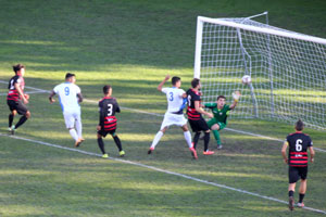 gol tn