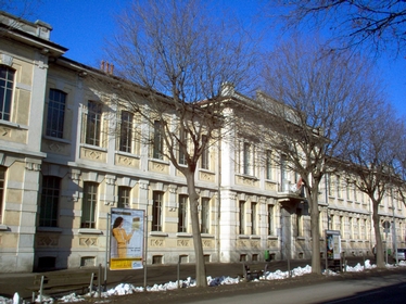 deamicis