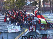 tifosi-1 tn