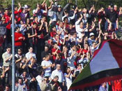 tifosi-26_tn