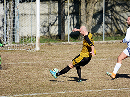 gol viqueria tn