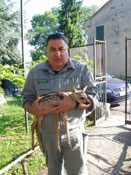 arturo gigliotti tn