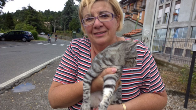 gatto2