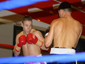BOXE (click to enlarge)